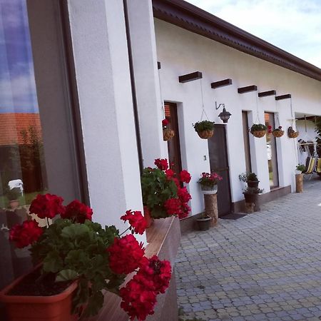 Dridif 135 Bed and Breakfast Eksteriør billede
